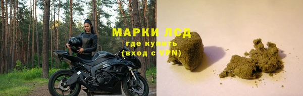 прущие грибы Орск
