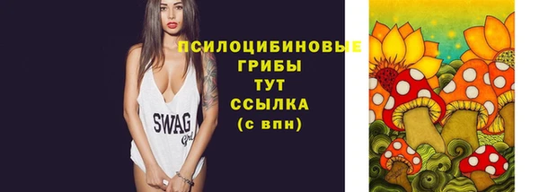 гашик Медногорск
