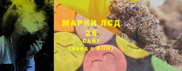 гашик Медногорск