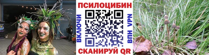 MEGA Магнитогорск Псилоцибиновые грибы Psilocybine cubensis